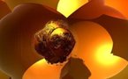 Association Francophone d'HTSMA : « L'Art de la Thérapie : entre Créativité et Stratégie»