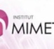 Institut MIMETHYS, Psychothérapie de la Crise