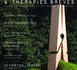 Mixité Thérapeutique par Dominique Megglé Revue Hypnose et Thérapie Brève