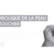 http://www.hypnose-ericksonienne.org/La-symbolique-de-la-peau-et-du-toucher_a404.html