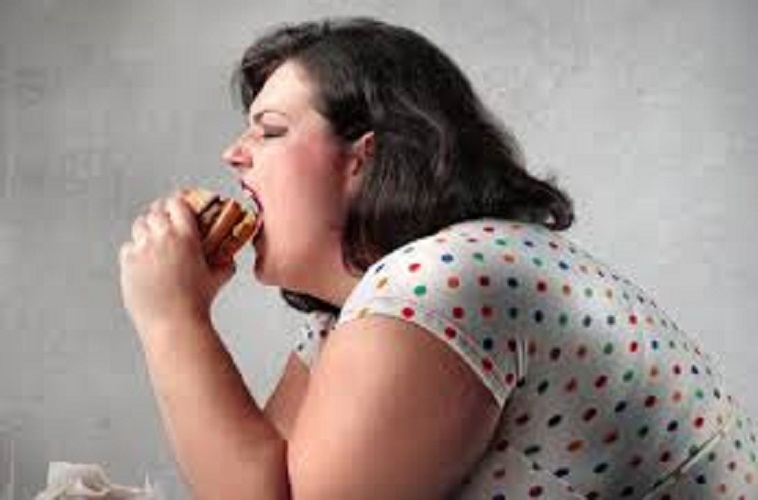 https://www.hypnose-ericksonienne.org/agenda/HAGUENAU-Perfectionnement-Hypnose-et-troubles-alimentaires_ae732690.html