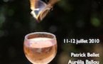 Techniques hypnotiques, métaphores, outils imaginatifs et approches individualisées dans les pathologies chroniques.