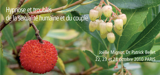 Troubles de la sexualité humaine et du couple.De l'hypnose en sexologie.Hypnose ericksonienne et sexualité Troubles de la sexualité humaine et du couple.De l'hypnose en sexologie.Hypnose ericksonienne et sexualité