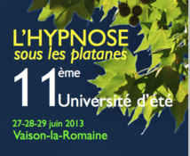 Hypnose sous les platanes : 11 ème université d'été 27-28-29 juin 2013