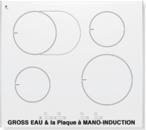 A côté de la plaque. Laurent Gross A côté de la plaque. Laurent Gross