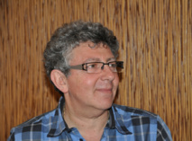 A côté de la plaque. Laurent Gross A côté de la plaque. Laurent Gross