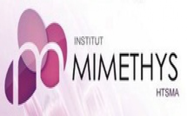 Institut MIMETHYS, Psychothérapie de la Crise