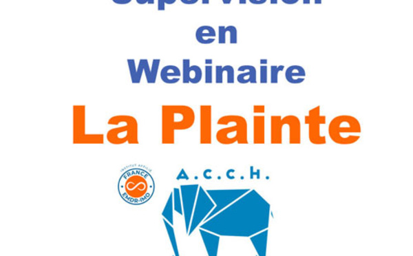 Supervision du Dr Pascal VESPROUMIS en Webinaire: la Plainte. En direct d'EVRY.