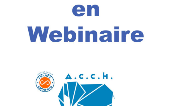Supervisions en webinaire (distanciel) 2023-2024: Hypnose, EMDR - IMO.