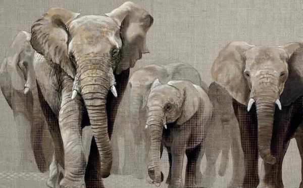 Hypnose de spectacle: bénéfices ou dangers pour le sujet. Revue Hypnose et Thérapies Brèves n°78.