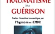 Du microtraumatisme à la guérison. Hypnose, EMDR. Corinne Van Loey