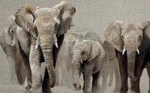 Hypnose de spectacle: bénéfices ou dangers pour le sujet. Revue Hypnose et Thérapies Brèves n°78.